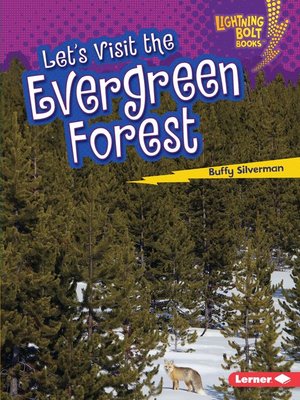 cover image of Let's Visit the Evergreen Forest